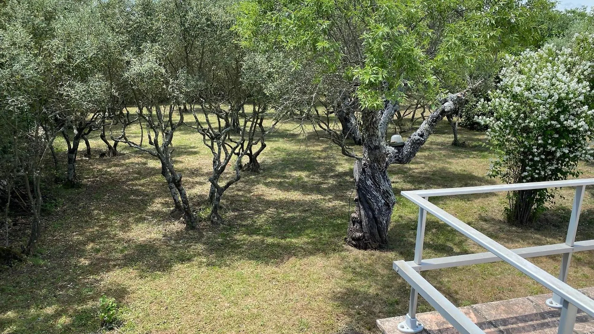 Le Belvedere D Espigoule Ginasservis 0*,